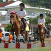 馬介在教育（学校で馬を）