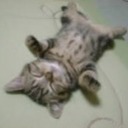私、脊髄小脳変性症です。kiki ’s blog
