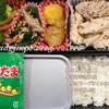 減塩弁当３