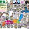 統一教会のトップ「韓鶴子」が出頭（長文注意）