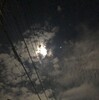 『満月の夜』
