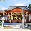 【 諏訪市 】地蔵寺｜高台にある日本百名庭園に数えられる庭園と藤がきれいなお寺