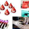 Blood - Components, Testing & Collection