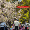 五智山蓮華寺