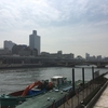 春