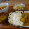 タニアさんカレー