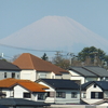 2025年4月6日(日曜日)(大安)心臓の手術が～♪♪