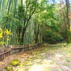 国道１０号線part1 〜古すぎる道〜