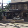 珍しい動物と触れ合える！「THE ANIMAL CAFE」へ行ってきた