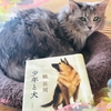 馳星周【少年と犬】が素晴らし過ぎる！読書感想文