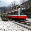 春の箱根旅の思い出⑨『箱根登山電車～強羅花壇編』