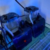 水水槽の油膜を消す裏技エアレーション方法のご紹介｜USAマメスナ専門店ReefMirrorServers