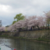 4月6日　京都へお花見～その3～