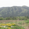 春の里山