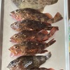 昨日、持ち帰りした魚