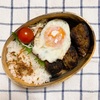20240104ハンバーグ弁当＆わんこと帰省2023