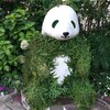 寄生植物 その2
