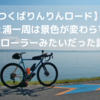 【つくばりんりんロード】霞ヶ浦一周は景色が変わらず3本ローラーみたいだった話