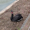 人気スポット福岡県飯塚市の勝盛公園で春の訪れを感じよう