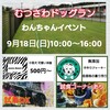 さぁ～本日開催  茂原珈琲さん 犬猫譲渡会 同時開催 ハンドメイド 犬の洋服屋さん 販売会