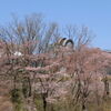 桜の科学館