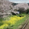 菜の花列車に乗ってきました！