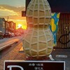 【八街】贈り物に八街産落花生を買いに『豆処生形』へ行ってみた