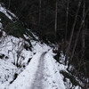 ２月の高尾散歩／残雪の高尾の森歩き