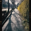 Photo No.2218 / 本文はおやすみです