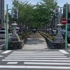 鎌倉ぶらぶら散歩👣まさかマイクロブタに癒やされるとは