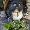 もこもこの厚い布団を抜けると冬であった
