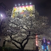 嵐を越えて…