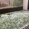 昨日の雷雨