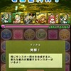 12月19日のパズドラ