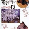 古美術緑青 No.06　そして｢古九谷｣／ 知られざる縄文／西芳寺湘南亭／利休残照