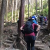 2022年春大阪府チャレンジ登山回走録③～スタートからゴールまで色々あった。。