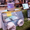 Maker Fare Tokyo2015に出た