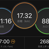 ジョギング17.32km・祝日は昼間にLSD120分の巻