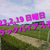 2023,2,19 日曜日 トラックバイアス予想 (東京競馬場、阪神競馬場、小倉競馬場)