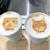 町田【猫カフェ】Cat Café MOFF（キャット カフェ モフ）体験記