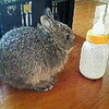 特にネタもありませんので