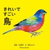 きれいですごい!  鳥 