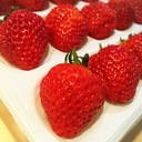 さつきのご飯備忘録