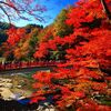 今日の医療用語28.アバスチン29.VEGF