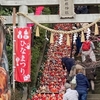 座間神社の「ひな祭り」報告します！(2024/3/2)