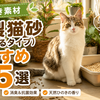 木製猫砂（固まるタイプ）おすすめ5選｜ひのき素材の消臭力と処理のしやすさで選ぶ