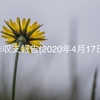 【反省点しかありません。】株収支報告(2020年4月17日)