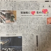 日本経済新聞に載りました