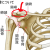 day-229 心配していた肩の骨が飛び出ているのは、手術とは関係ない場所でした。そして、「そろそろ卒業しましょうかねー」とリハビリの先生に言われた