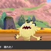 ソード色々
